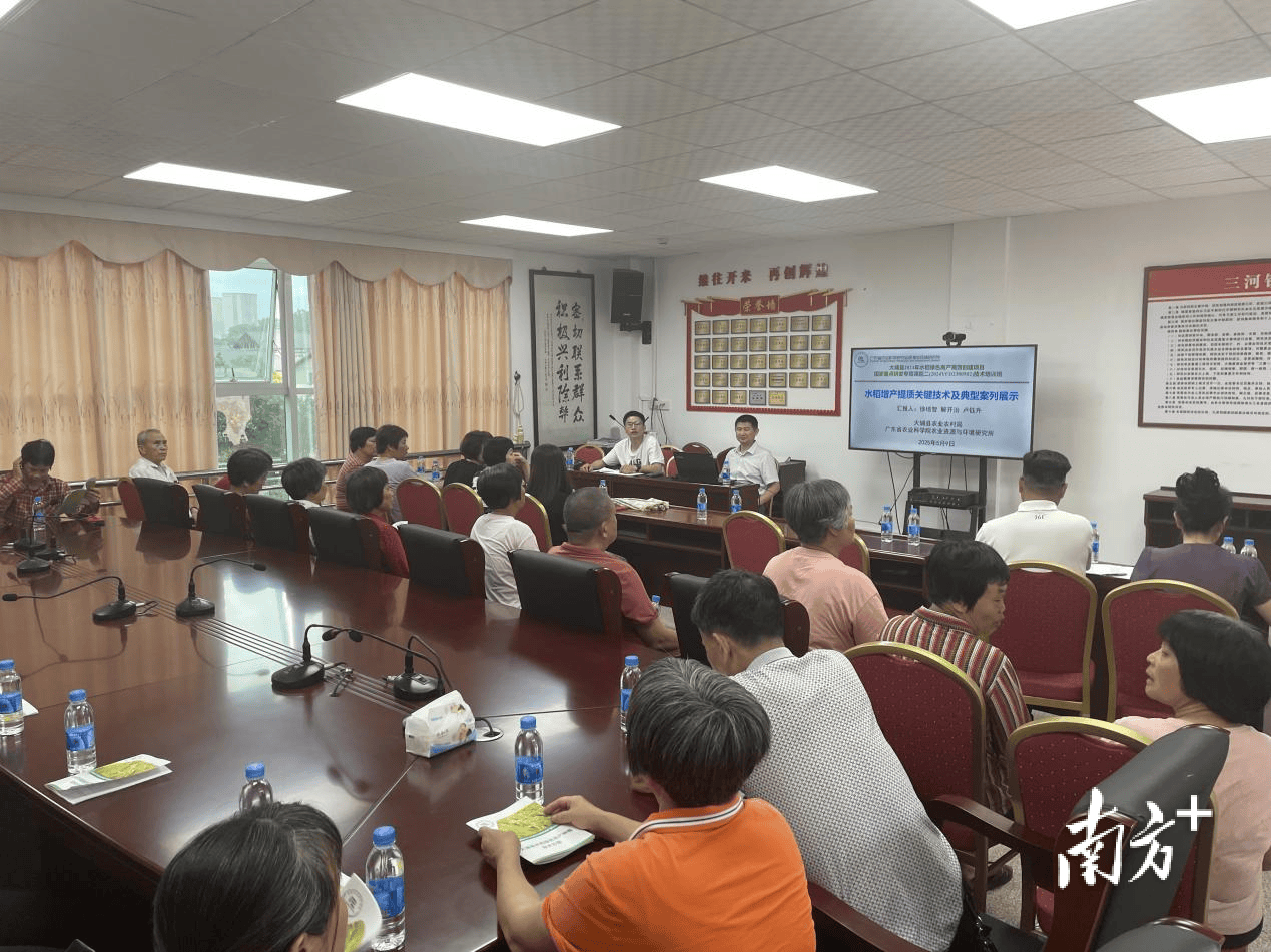 助力水稻增產(chǎn)提質(zhì)！大埔舉辦水稻綠高產(chǎn)高效創(chuàng)建項目技術(shù)培訓(xùn)班:水稻高產(chǎn)