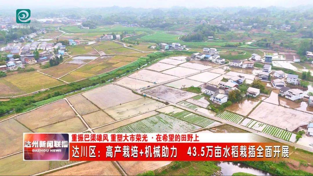 高產(chǎn)栽培+機(jī)械助力 43.5萬畝水稻栽插全面開展:水稻高產(chǎn)
