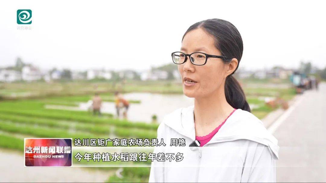 高產(chǎn)栽培+機(jī)械助力 43.5萬畝水稻栽插全面開展:水稻高產(chǎn)
