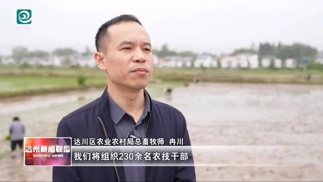 高產(chǎn)栽培+機(jī)械助力 43.5萬畝水稻栽插全面開展:水稻高產(chǎn)
