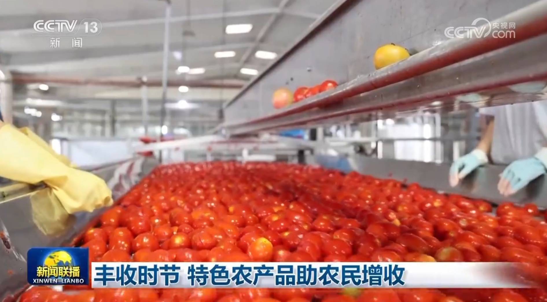 豐收時(shí)節(jié) 特農(nóng)產(chǎn)品助農(nóng)民增收:農(nóng)產(chǎn)品