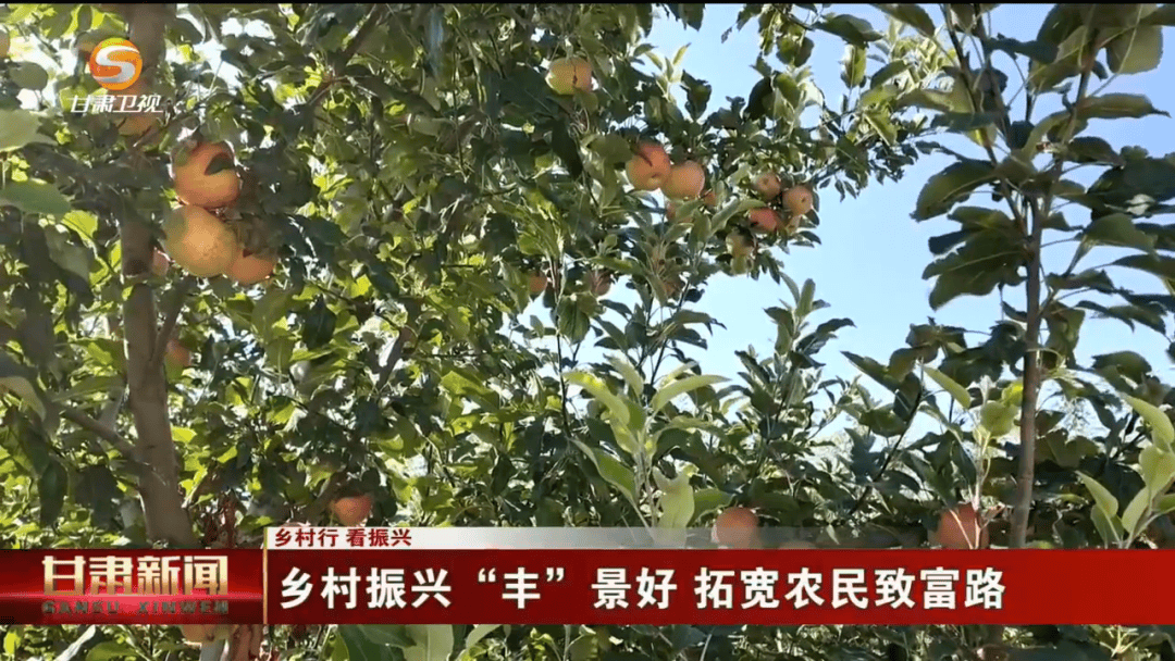 《甘肅新聞》聚焦金昌農(nóng)業(yè)特色產(chǎn)業(yè)發(fā)展:農(nóng)業(yè)發(fā)展
