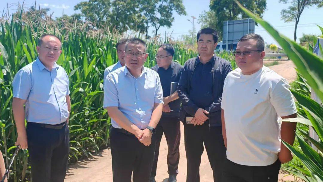 李偉調(diào)研全市農(nóng)業(yè)產(chǎn)業(yè)發(fā)展工作:農(nóng)業(yè)發(fā)展

