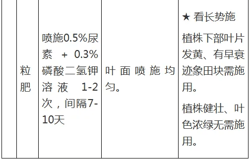 【農村科普】水稻玉米近期科學施肥技術要點:水稻施肥
